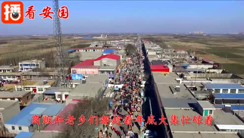 安国市郑章镇航拍