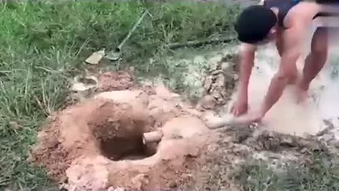 成语萤窗什么案_山窗萤幼虫