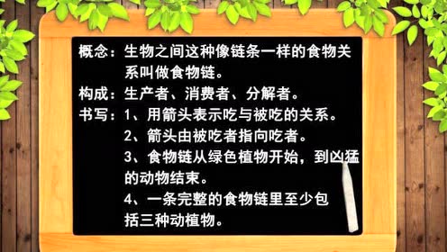 蘇教版六年級科學下冊第六單元 拓展與應用
