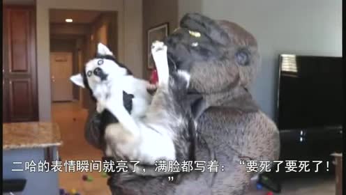专业画画恶搞视频，画画恶搞图