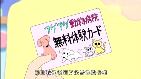 蜡笔小新小白双胞胎 腾讯视频