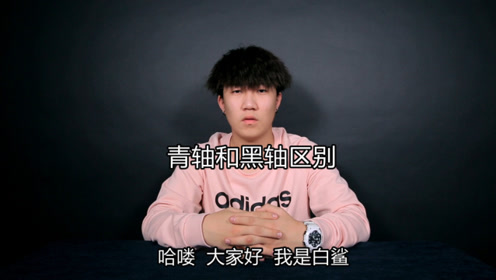 机械键盘黑轴和青轴的区别 qq374511307 idck 腾讯视频