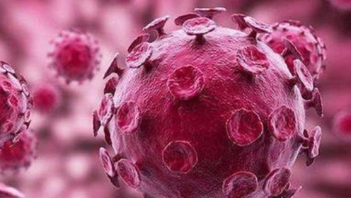 云南务工者复工途中陕西病亡,官方:死者确诊为汉坦病毒
