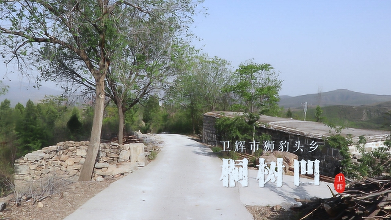 卫辉十大古村落,狮豹头乡桐树凹村