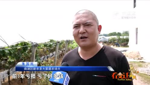 竹林村游戏 腾讯视频