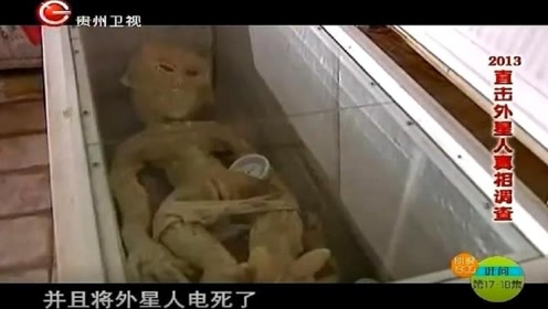 小伙电死一个"外星人",没想到竟放在冰箱保存,民警调查后不淡定了!