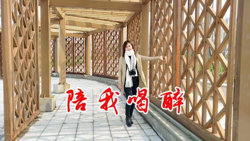 一首陪我喝醉甜美女歌手实力翻唱唱得让人心醉