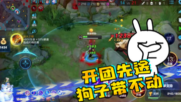 王者荣耀德古拉：奶妈开团先送，团战只靠狗子力挽狂澜