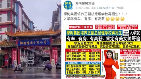 入学就有高薪有人追 奖励千万别墅 椰树集团 一直坚持的宣传风格 腾讯视频