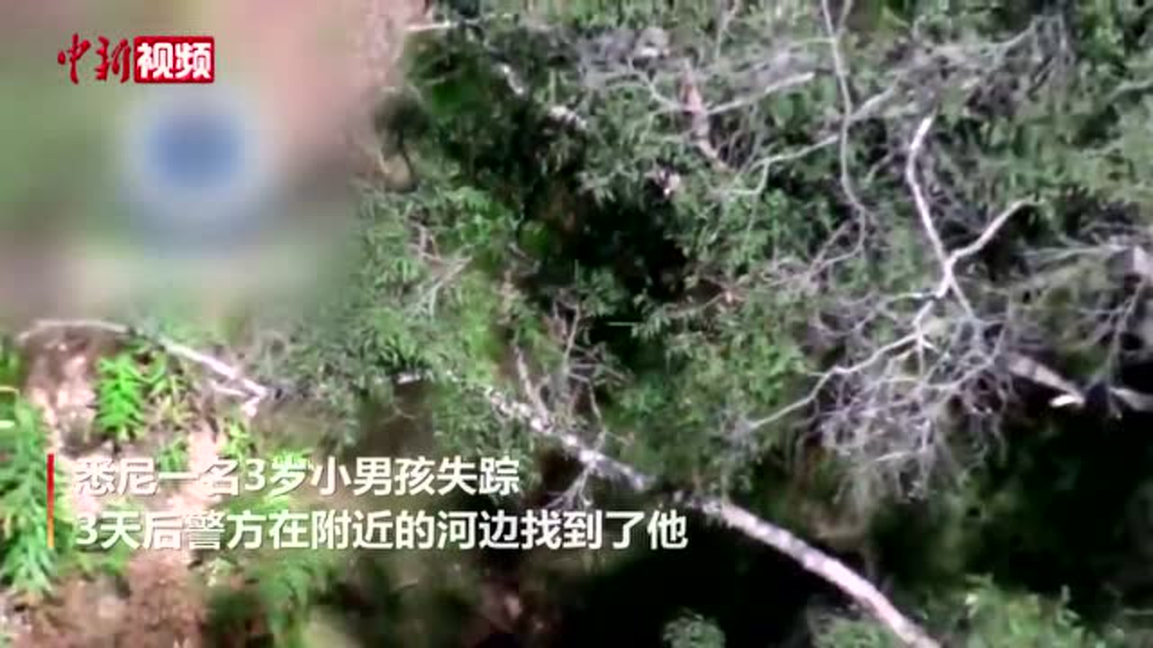 澳大利亚3岁小男孩失踪3天被找到时正在河中喝水