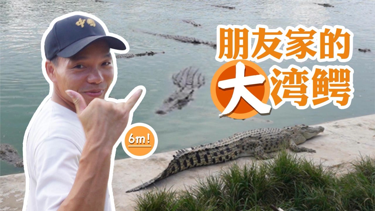 鳄鱼哥:去朋友家寻找六米长的湾鳄,没想到还能和尼罗鳄玩耍!
