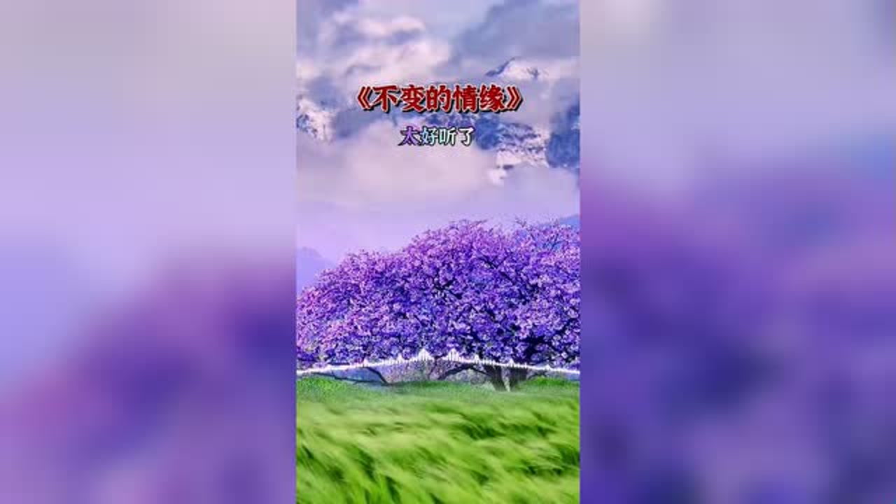 音乐不变的情缘