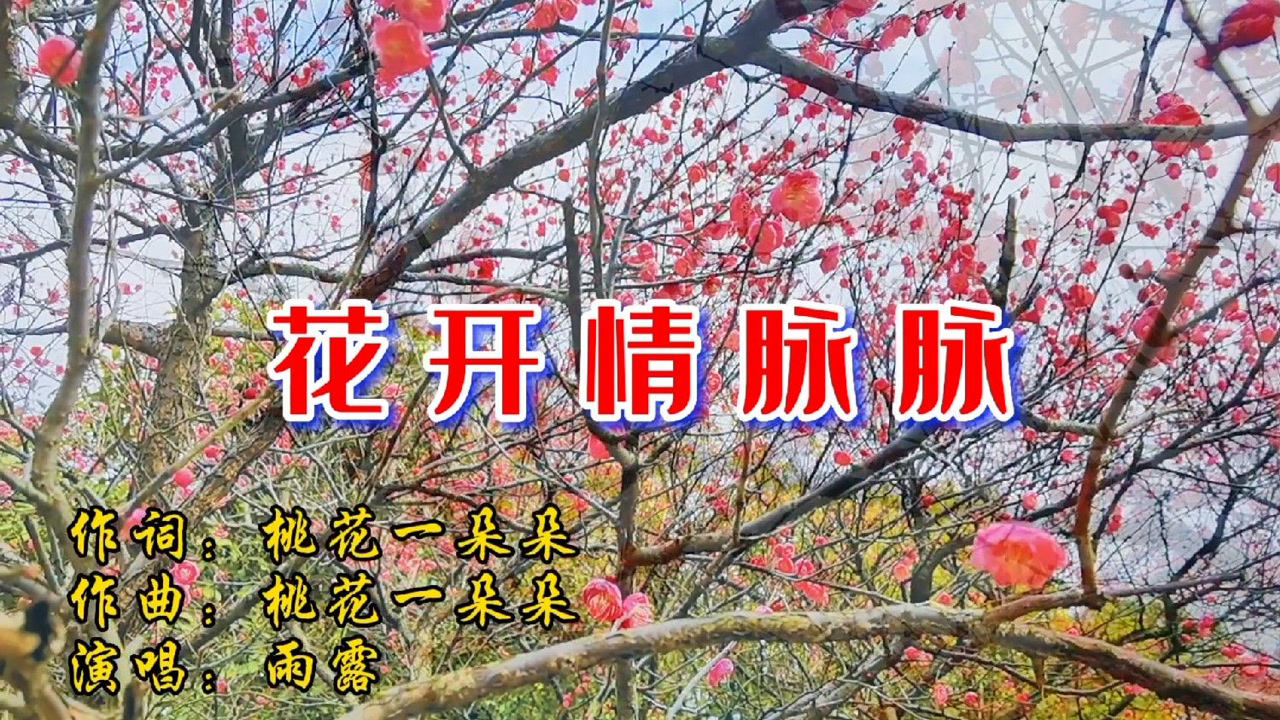 雨露一首《花开情脉脉》歌声甜美,悦耳动听,值得收藏!