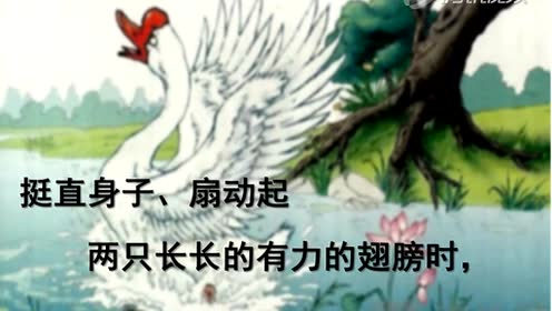 四年級語文上冊14 白公鵝