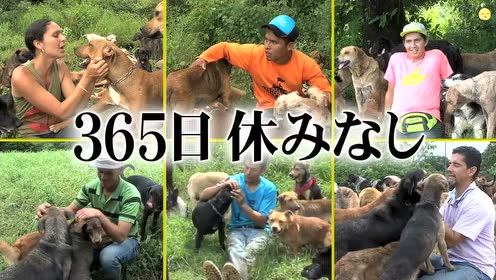 天才志村动物园 腾讯视频