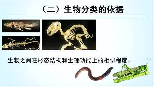 新版八年级生物上册6.1.2 从种到界