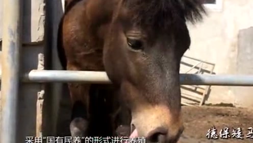 腾讯视频
