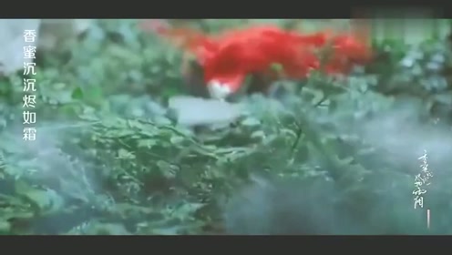 霜花男孩 腾讯视频