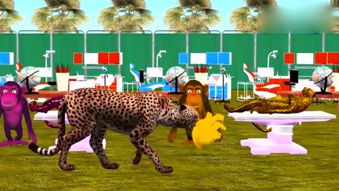 篱笆女人和狗简谱_篱笆墙的影子 电视剧 篱笆 女人和狗 主题曲(3)