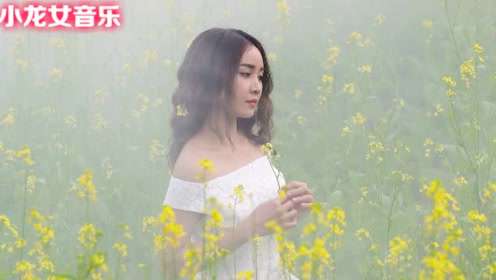 简谱小龙女_刘亦菲小龙女