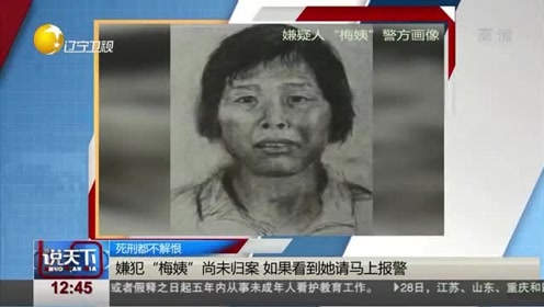 遇见这个"梅姨"马上报警,多名幼儿被她拐卖!