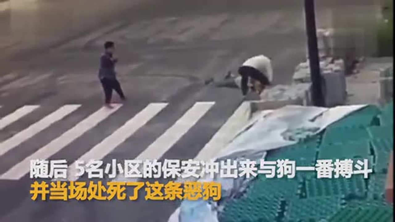 恐怖!79岁老人晨练被恶狗扑咬 好在有人见义勇为!