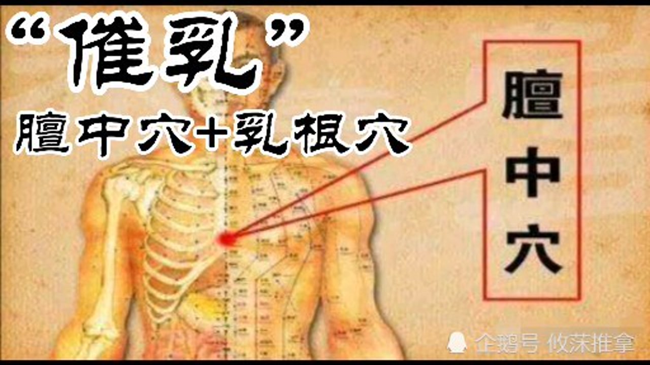 "催乳"的特效穴位:膻中穴 乳根穴