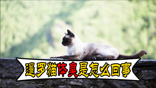 腾讯视频