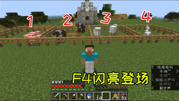 我的世界10：欢乐农场建造，F4闪亮登场