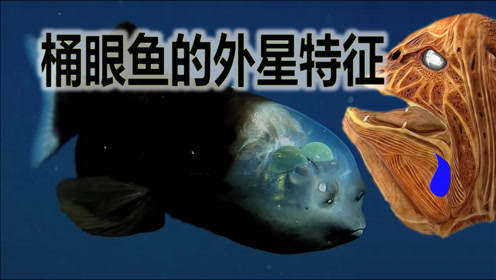 桶眼鱼 腾讯视频