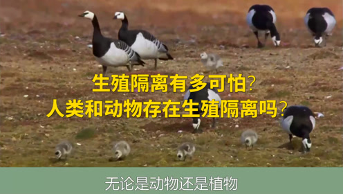 生殖隔离有多可怕人类和动物存在生殖隔离吗