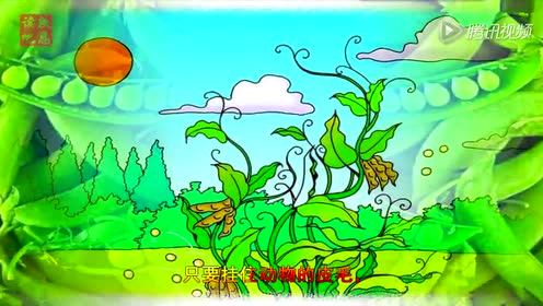 沪教版一年级语文下册13 植物妈妈有办法