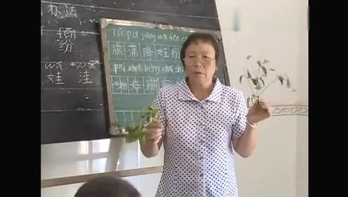 乡村女教师新闻 腾讯视频