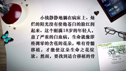 四年級語文上冊22 跨越海峽的生命橋