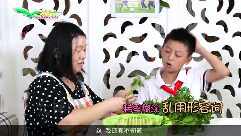 蘇教版五年級(jí)語文上冊(cè) 習(xí)作與練習(xí)