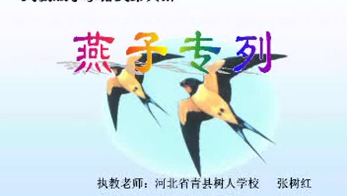 三年級(jí)語(yǔ)文下冊(cè)6 燕子專(zhuān)列