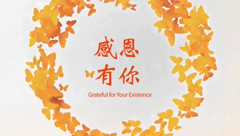 感恩有你mv视频