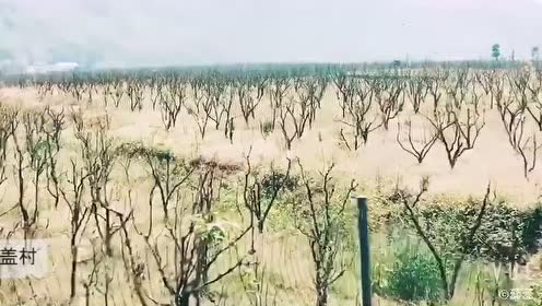 瑜珈洼色网