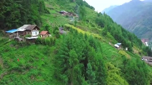 大山勝美 腾讯视频