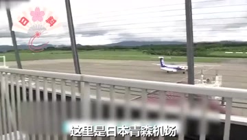 青森机场飞机起飞时撞鸟已是年内第三起 腾讯视频