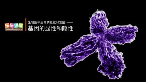 八年级生物下册第七单元第二章 生物的遗传和变异 3.基因的显性和隐性