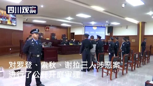 庭审现场视频"不怕阎王"的恶势力头目罗登认罪