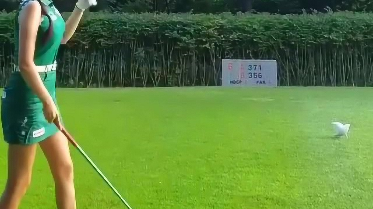 韩国短剧高尔夫的魅力与影响