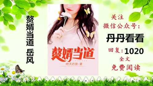 赘婿：我是赘婿岳风