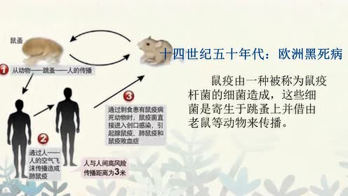 蘇教版一年級品德與生活上冊視頻