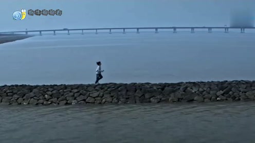 悲伤逆流成河,易遥受尽校园的欺凌,对这世界绝望的她选择了跳海