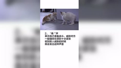 腾讯视频