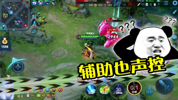 王者荣耀教学：狗子因声音难听，惨遭辅助无视