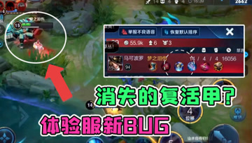 梦泪体验服遇上新BUG，复活甲特效消失：怀疑玩了一个假的游戏！