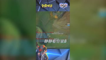 LOL小智：我就静静地看着你装B